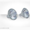 EDGE HALOGEN BULB 10 W 