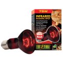 HEAT GLO INFRARED BASKING SPOT 75 W 