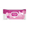 SALVIETTE INODORINA EVERYDAY ALOE VERA 40 PZ