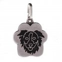 MEDAGLIETTA CLOUDS BORDER COLLIE 