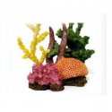 ARREDO CORALLI 10X12H PF2004 