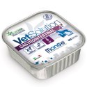 MONGE VETSOLUTION CANINE INTESTINAL 150 GR