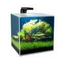 ACQUARIO CIANO CUBE 15 LED 