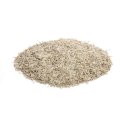 SEME DI LATTUGA 500 GR BIRD 