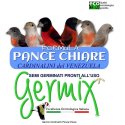GERMIX BLATTNER CARDINALINI PANCE CHIARE 5 KG