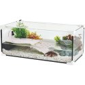 TARTARUGHIERA KARAPAS AQUA 50 BIANCA PRO CM 50X25X20 H