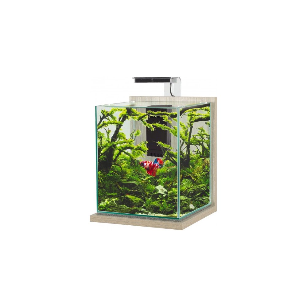 Kit aquarium Jalaya XL coloris chêne clair Zolux – 25 x 25 x 30 cm : Zolux  ZOLUX animalerie - botanic®