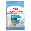 ROYAL CANIN MINI STARTER MOTHER E BABY DOG 1 KG