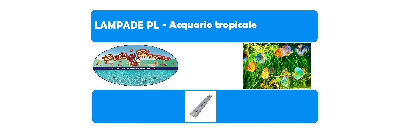 Shop Online i migliori marchi scontati per giochi, cibo, alimenti, medicinali, antiparassitari, attrezzi, ricambi, accessori per tutti gli animali Lampade Pl