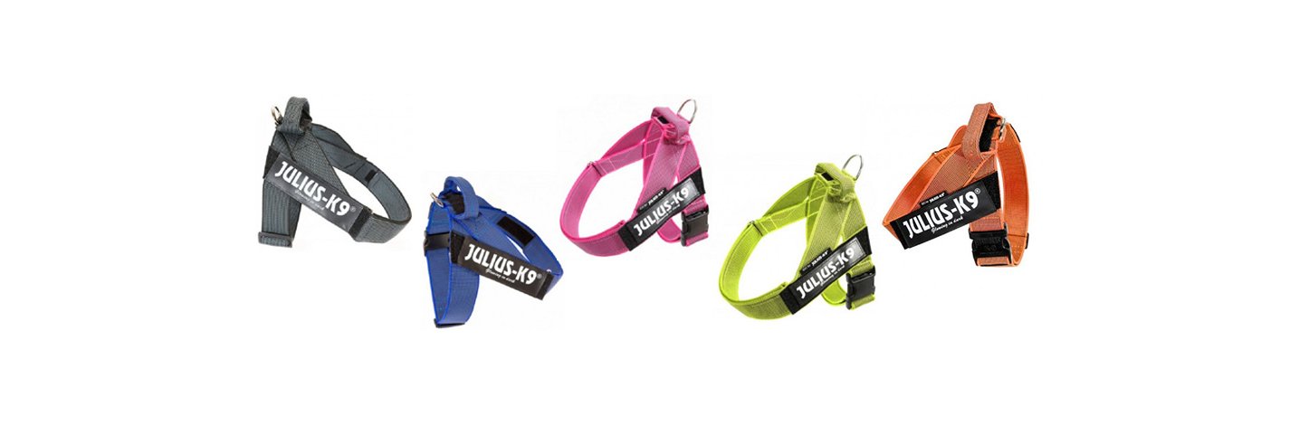 Shop Online i migliori marchi scontati per giochi, cibo, alimenti, medicinali, antiparassitari, attrezzi, ricambi, accessori per tutti gli animali Idc Belt Harnesses