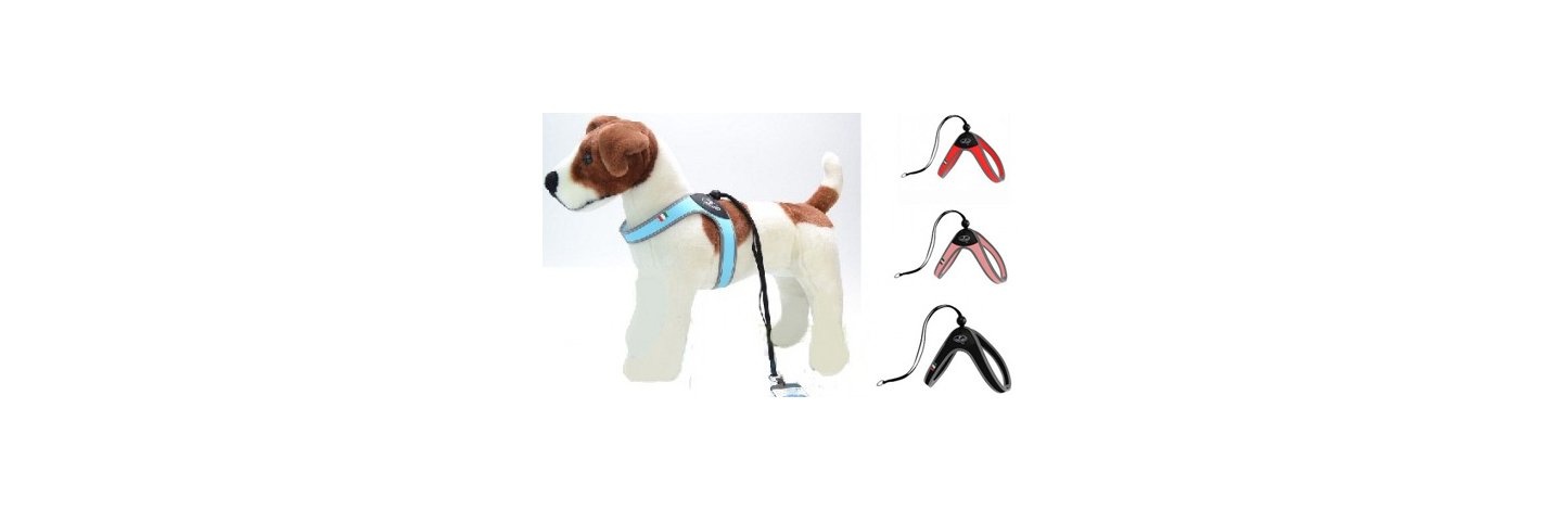 Shop Online i migliori marchi scontati per giochi, cibo, alimenti, medicinali, antiparassitari, attrezzi, ricambi, accessori per tutti gli animali Pettorine Lace