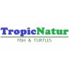 Tropic Natur